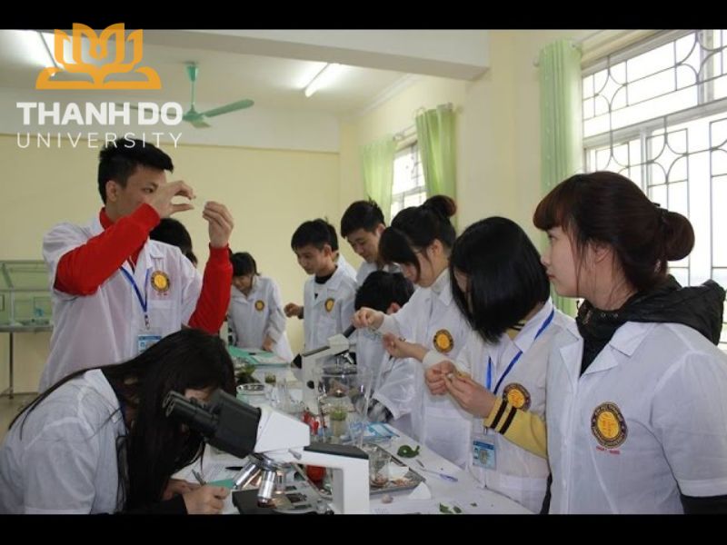 Đại học nào xét tuyển các ngành bằng học bạ